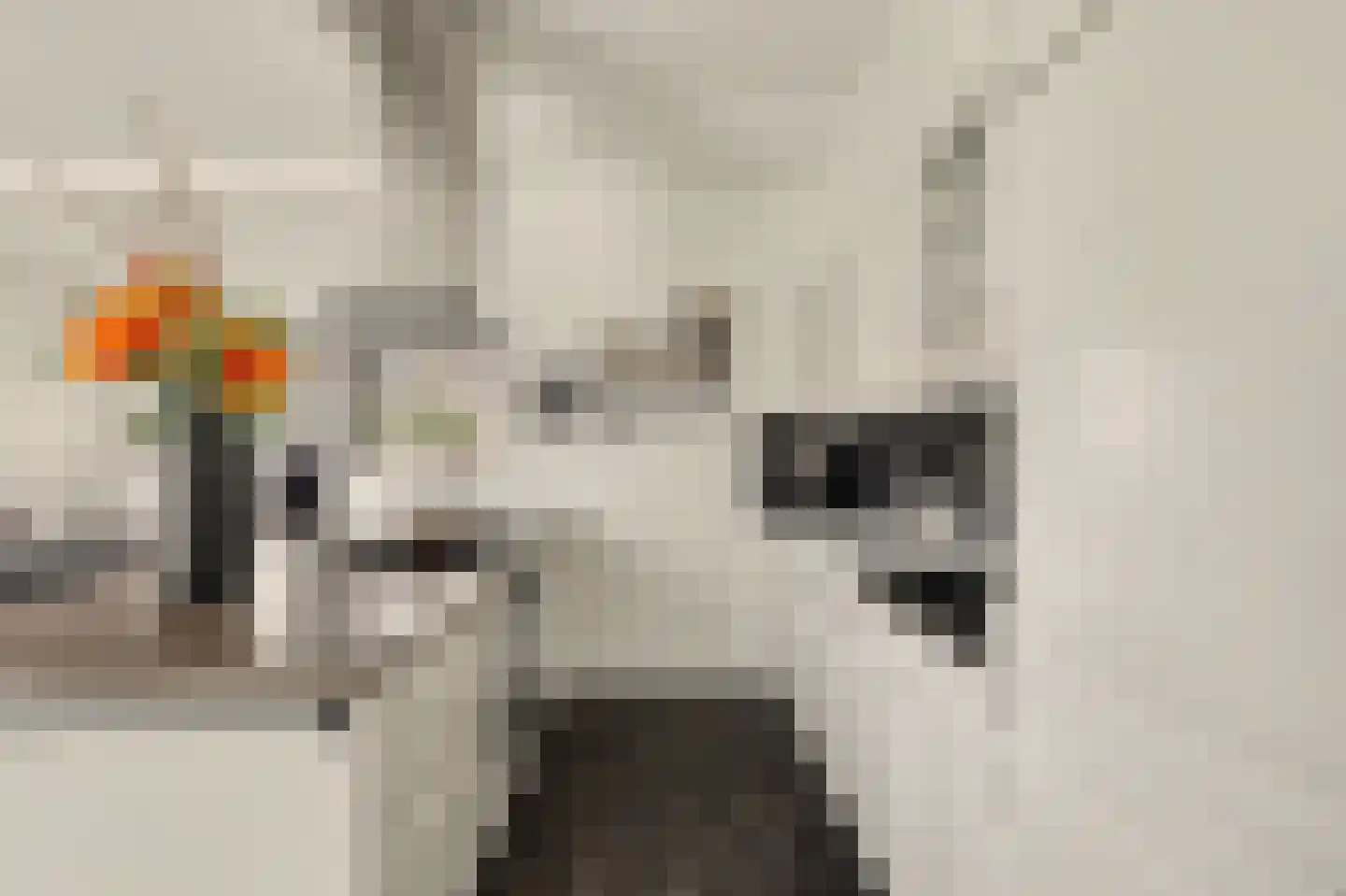 de Meulemeesterstraat 1 Yerseke thumbnail 13