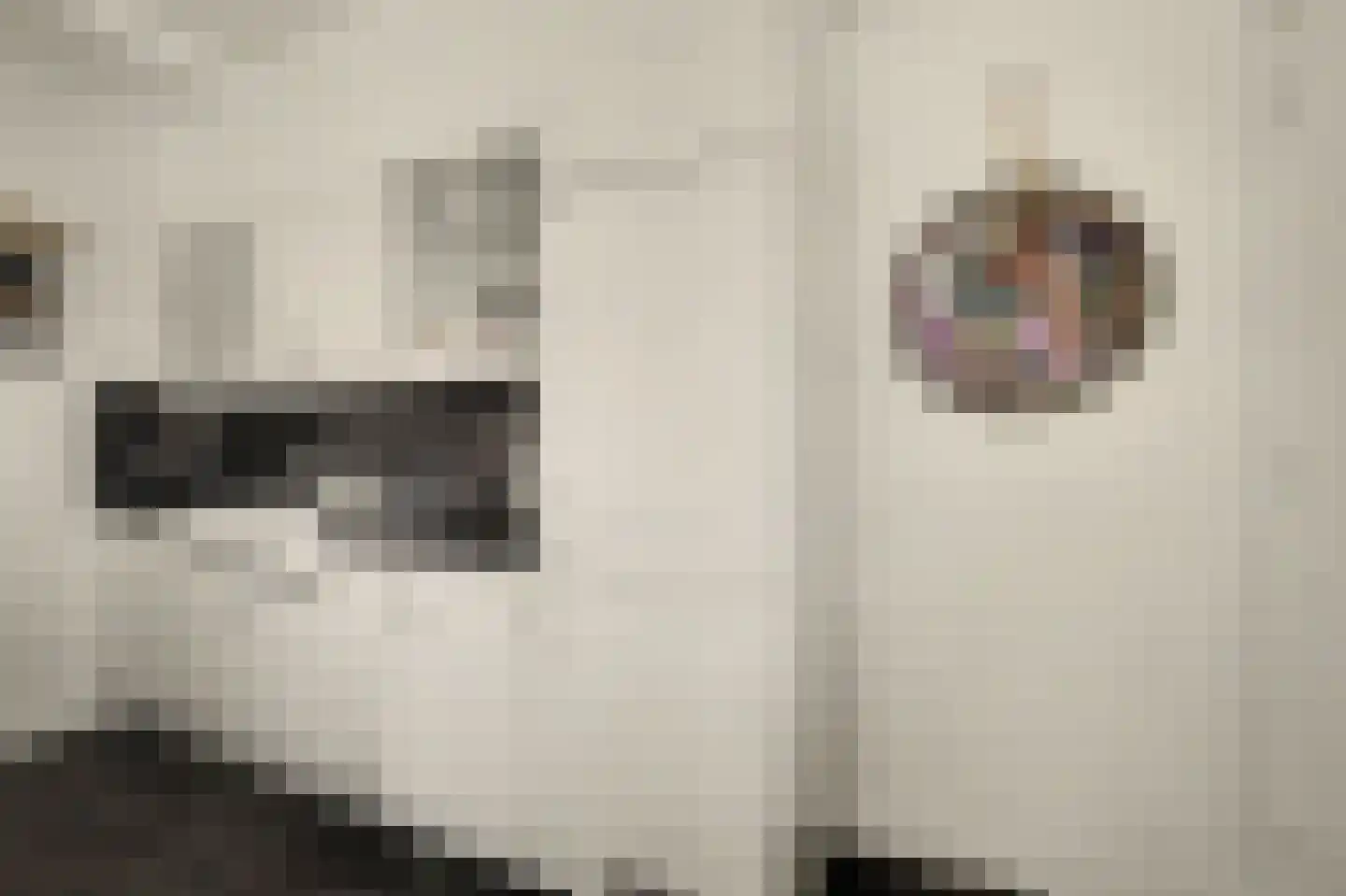 de Meulemeesterstraat 1 Yerseke thumbnail 14