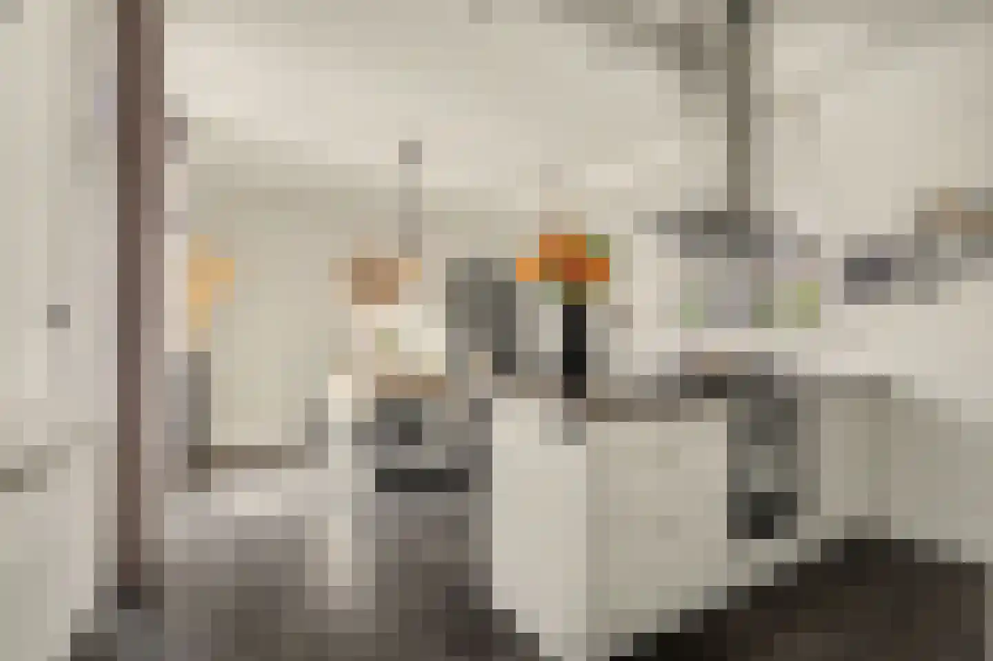 de Meulemeesterstraat 1 Yerseke thumbnail 15