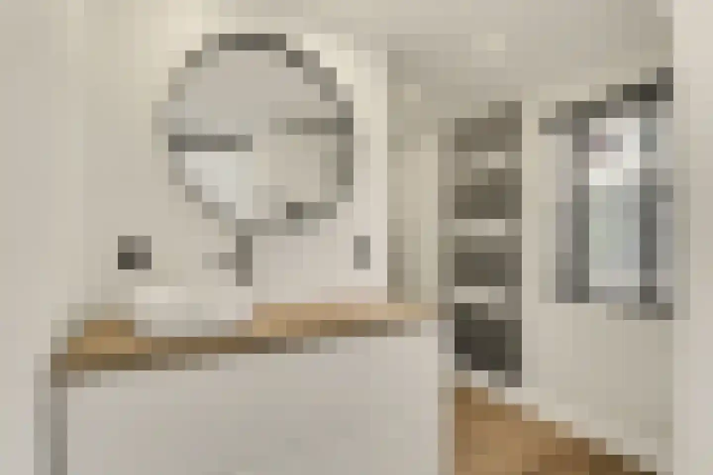 de Meulemeesterstraat 1 Yerseke thumbnail 19