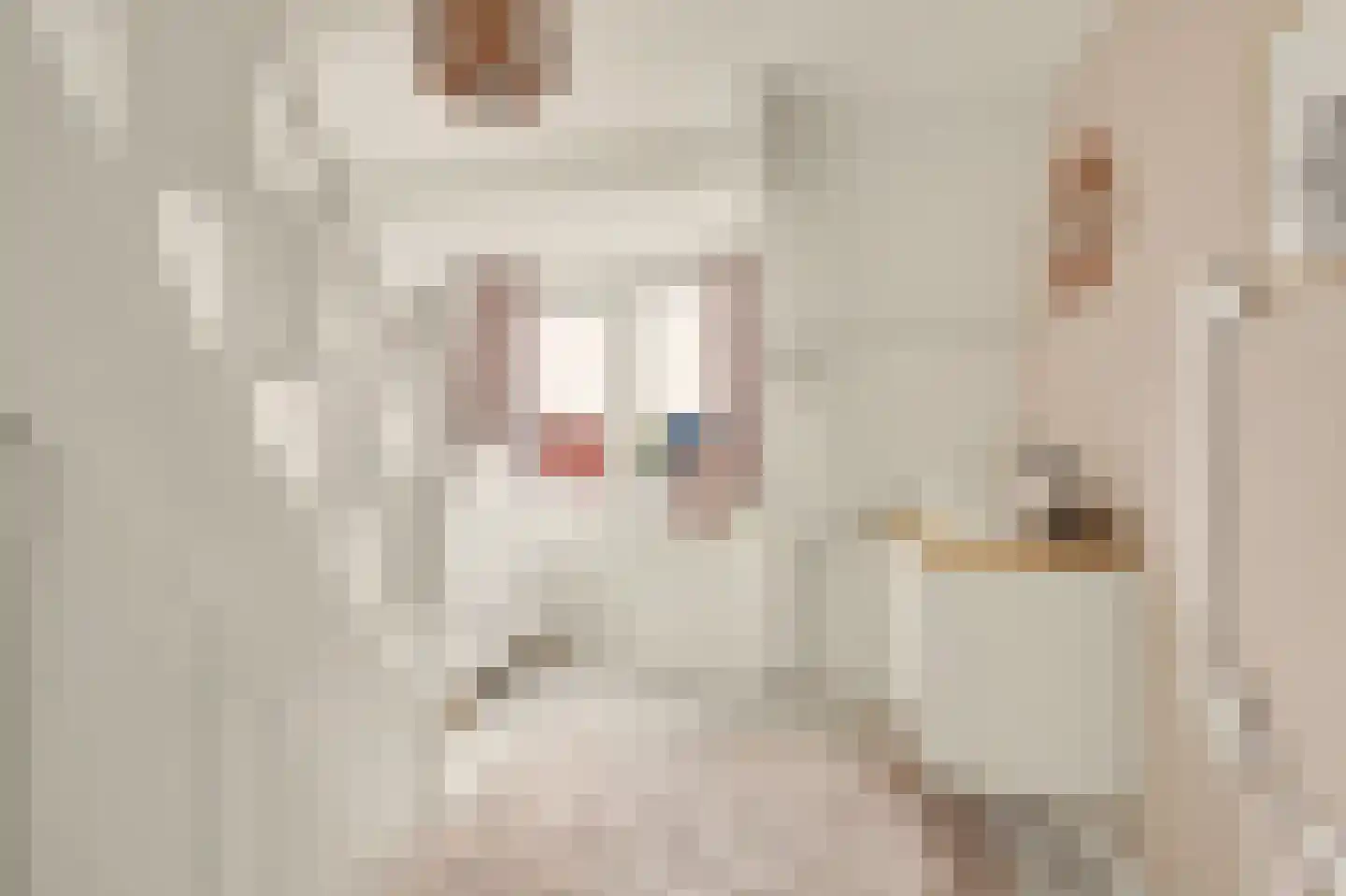 de Meulemeesterstraat 1 Yerseke thumbnail 21