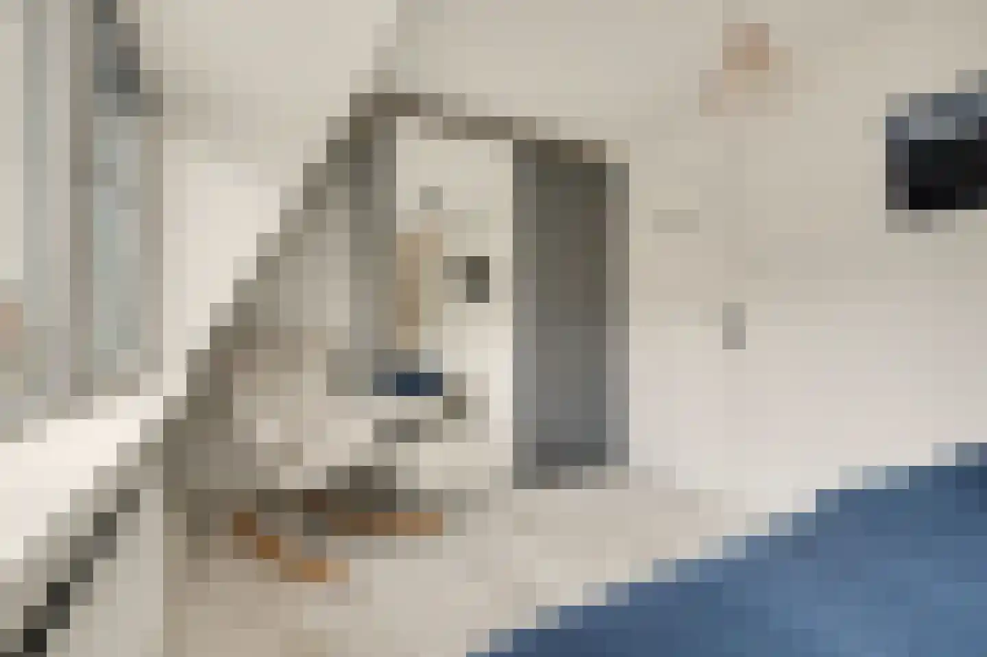 de Meulemeesterstraat 1 Yerseke thumbnail 26