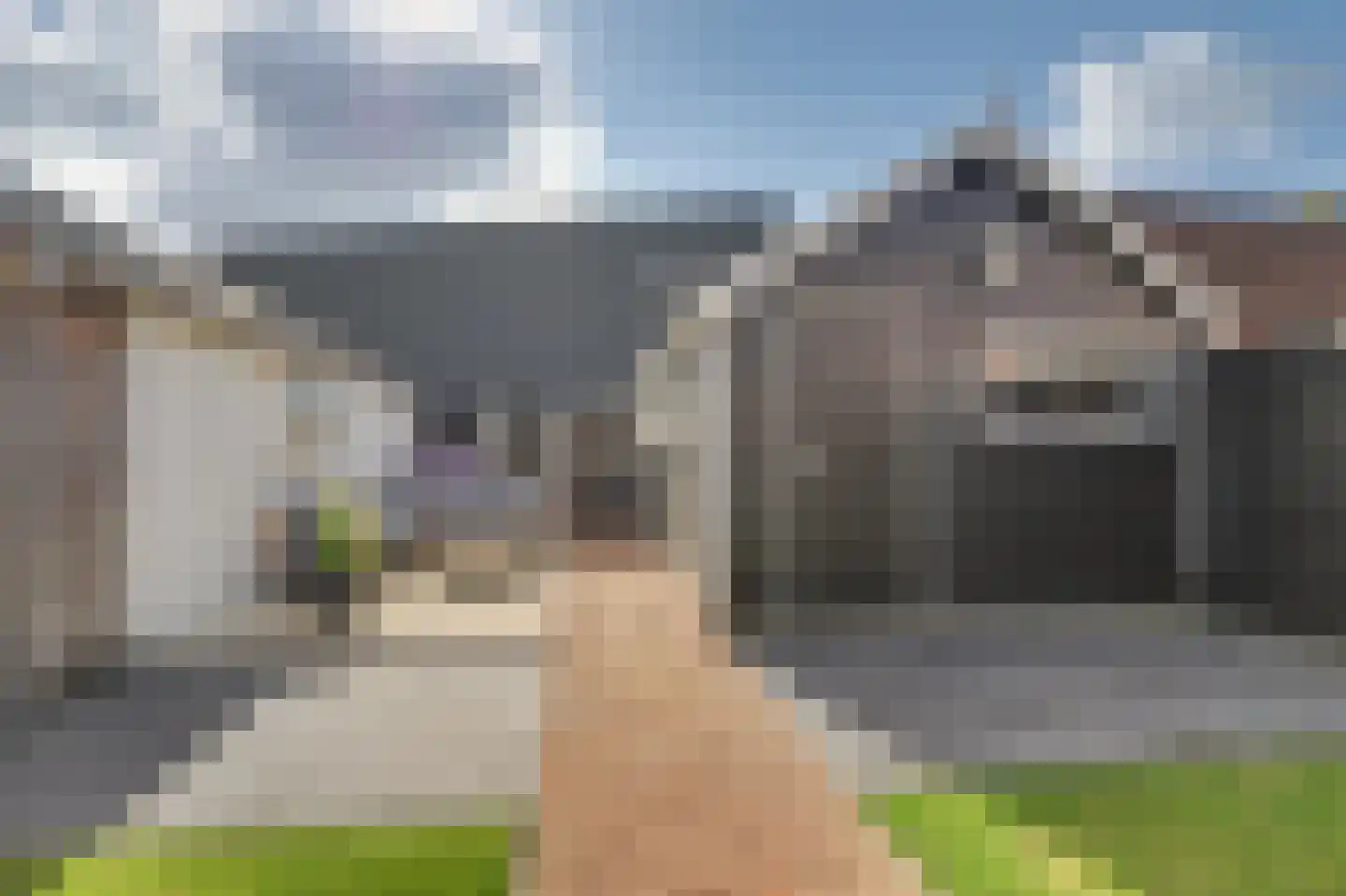 de Meulemeesterstraat 1 Yerseke thumbnail 37