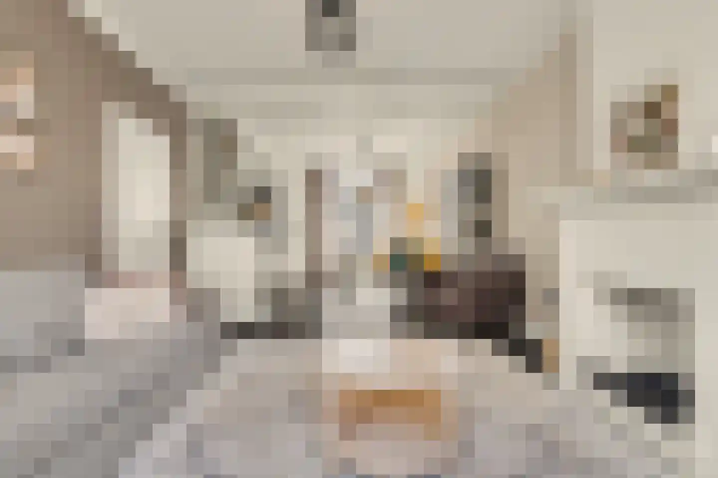 de Meulemeesterstraat 1 Yerseke thumbnail 8