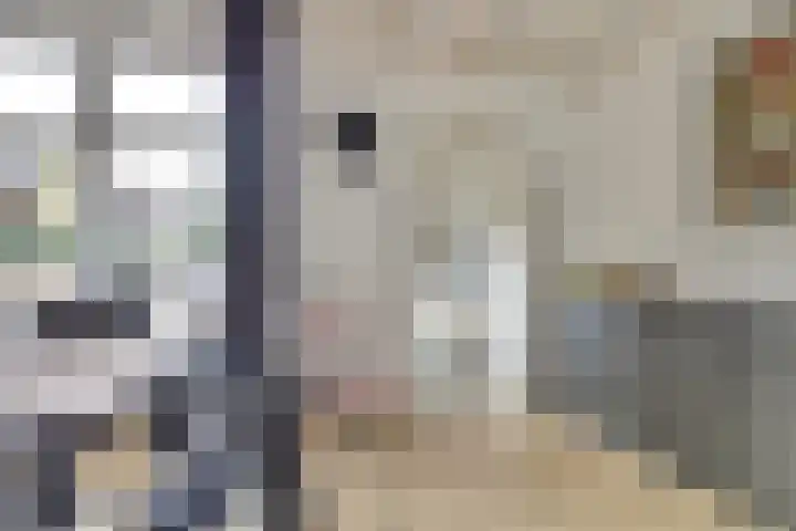 de Meulemeesterstraat 14 Yerseke thumbnail 12