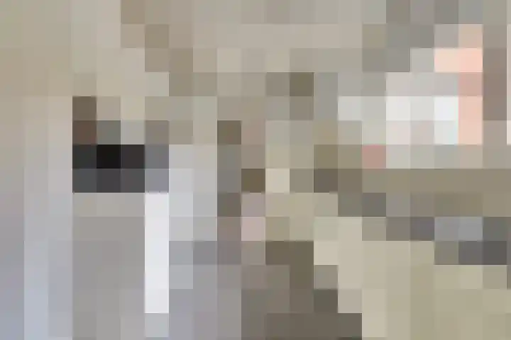 de Meulemeesterstraat 14 Yerseke thumbnail 13
