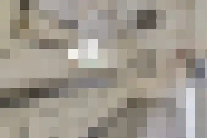 de Meulemeesterstraat 14 Yerseke thumbnail 15