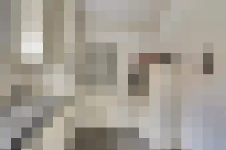 de Meulemeesterstraat 14 Yerseke thumbnail 16