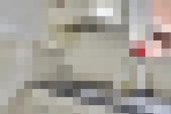 de Meulemeesterstraat 14 Yerseke thumbnail 17