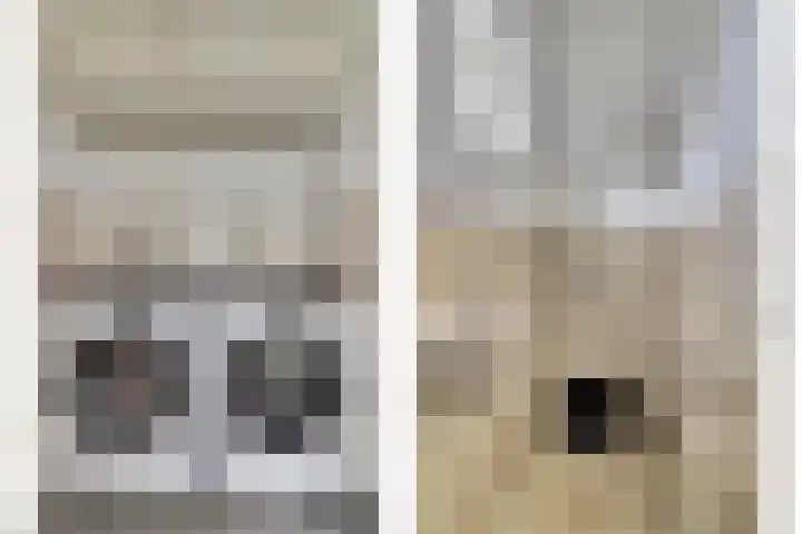 de Meulemeesterstraat 14 Yerseke thumbnail 18