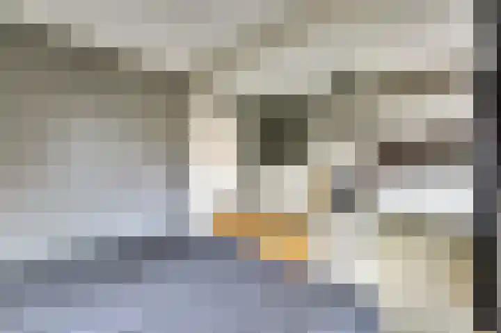 de Meulemeesterstraat 14 Yerseke thumbnail 24