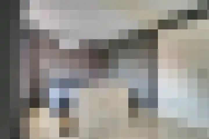 de Meulemeesterstraat 14 Yerseke thumbnail 25