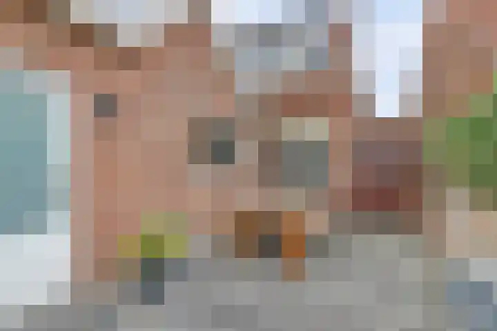 de Meulemeesterstraat 14 Yerseke thumbnail 31