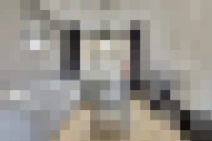 de Meulemeesterstraat 14 Yerseke thumbnail 8