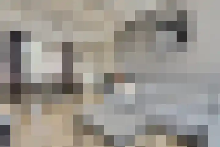 de Meulemeesterstraat 14 Yerseke thumbnail 9