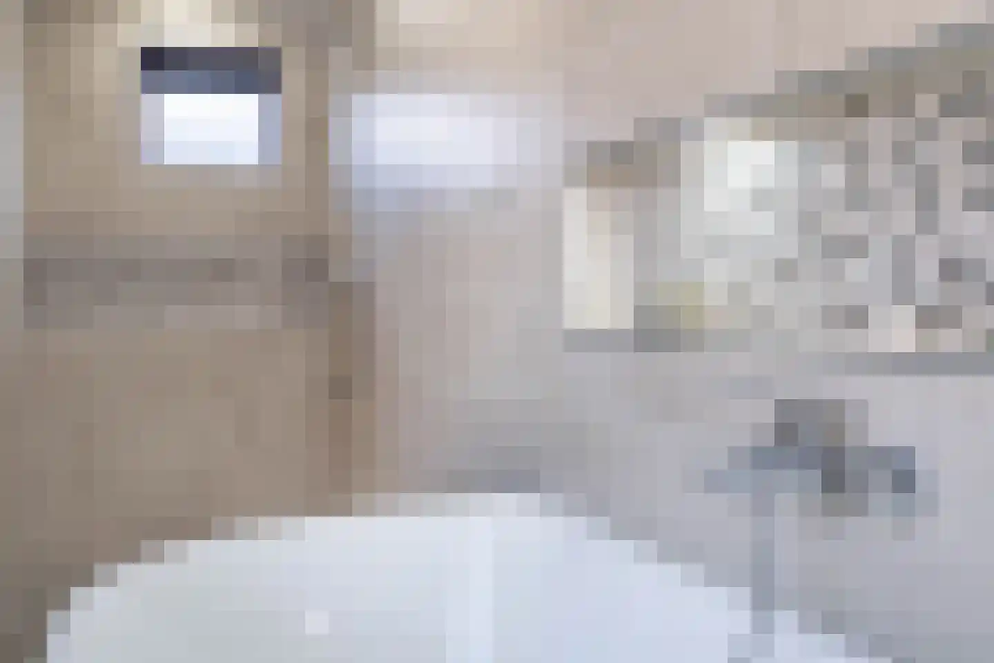 de Meulemeesterstraat 17 Yerseke thumbnail 19