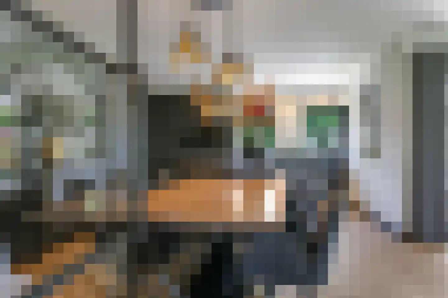 De Meulenberg 5 Doornenburg thumbnail 11