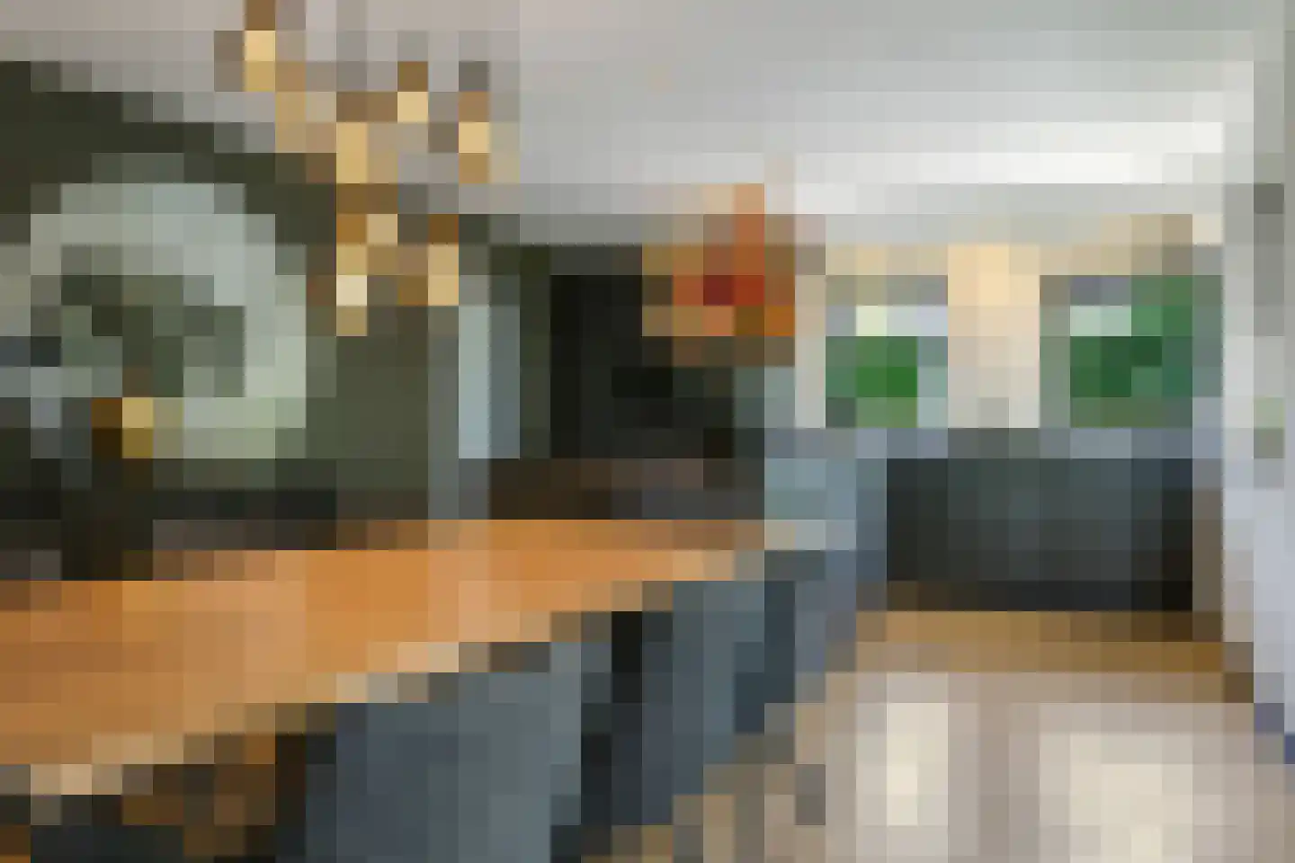 De Meulenberg 5 Doornenburg thumbnail 13