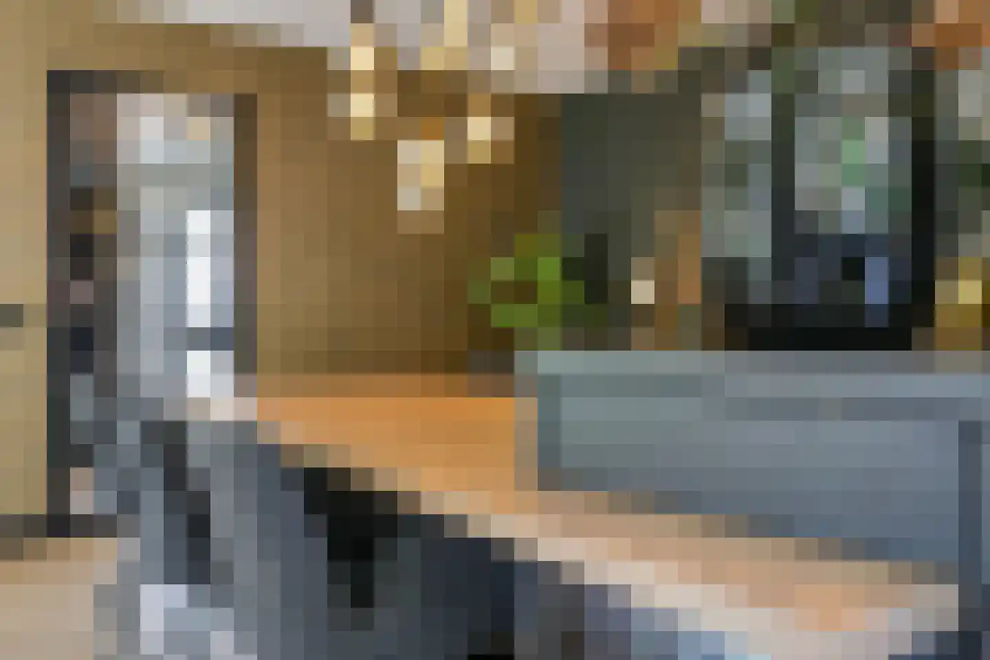 De Meulenberg 5 Doornenburg thumbnail 18