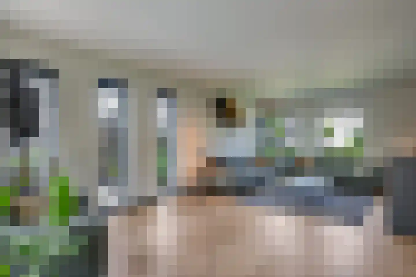 De Meulenberg 5 Doornenburg thumbnail 21