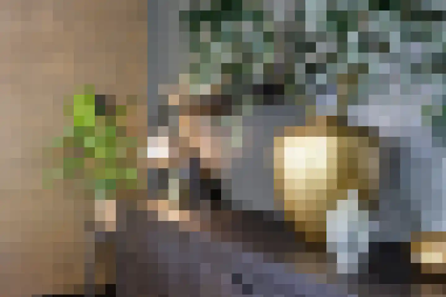 De Meulenberg 5 Doornenburg thumbnail 29