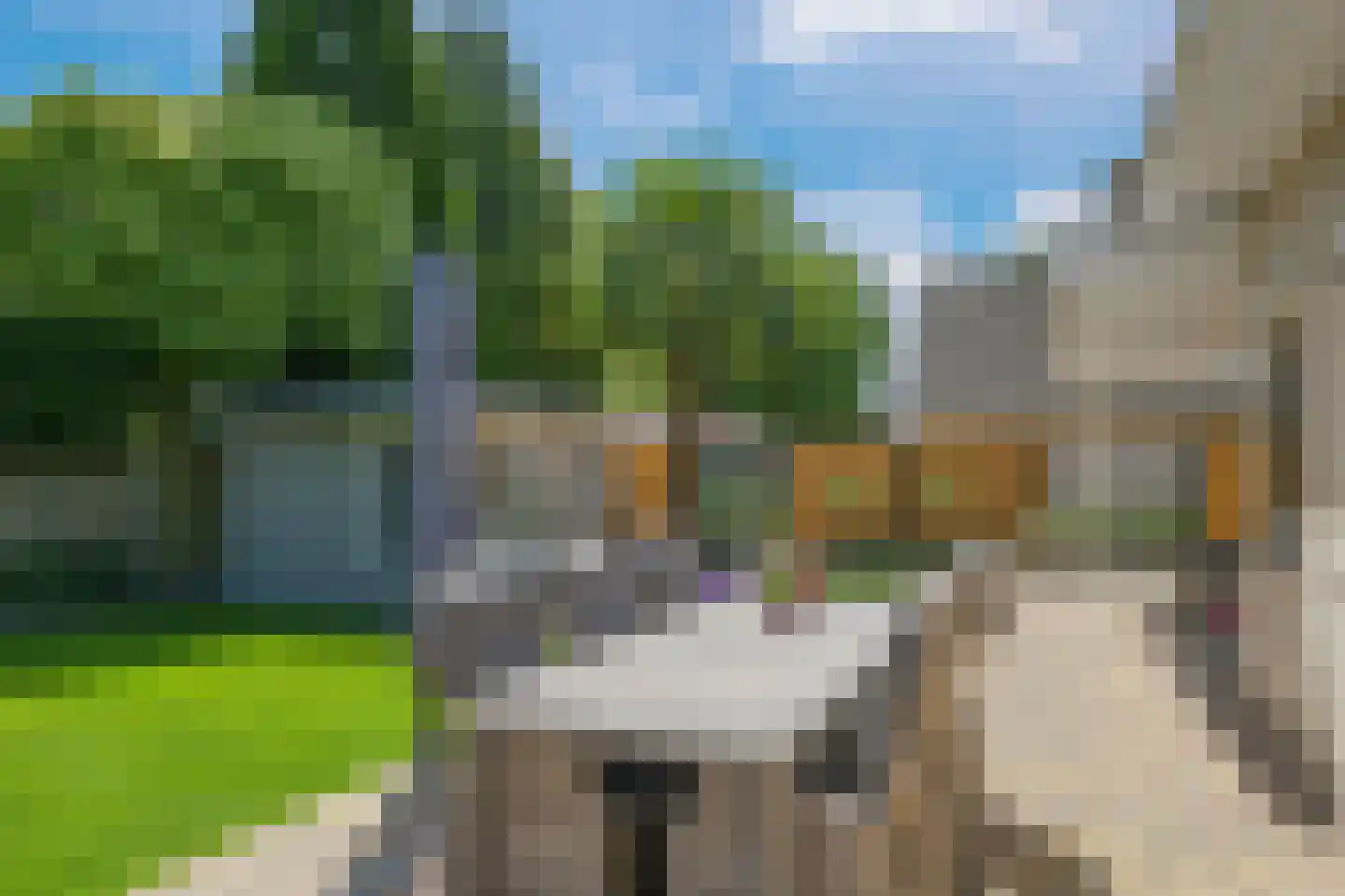 De Meulenberg 5 Doornenburg thumbnail 38