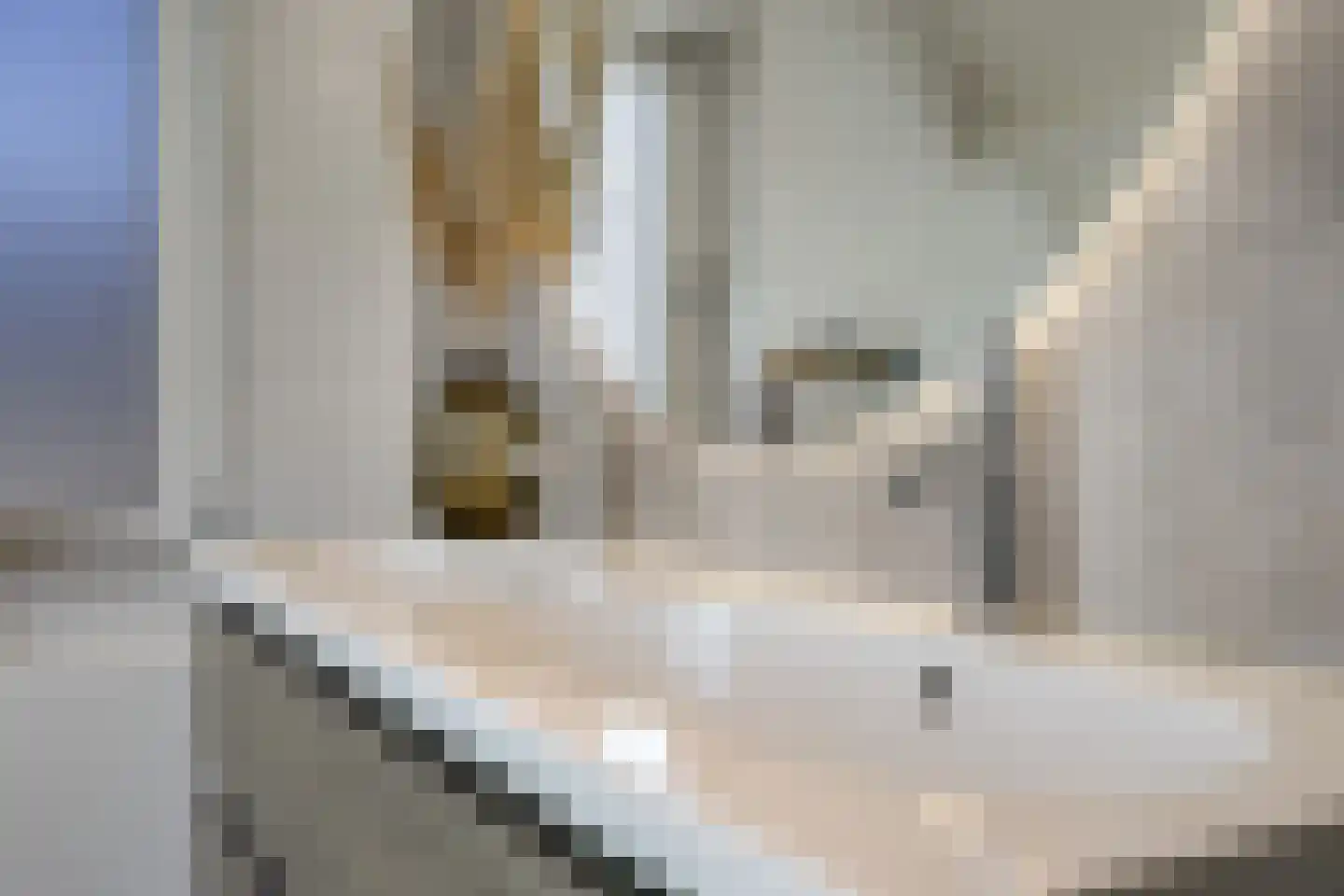 De Meulenberg 5 Doornenburg thumbnail 72