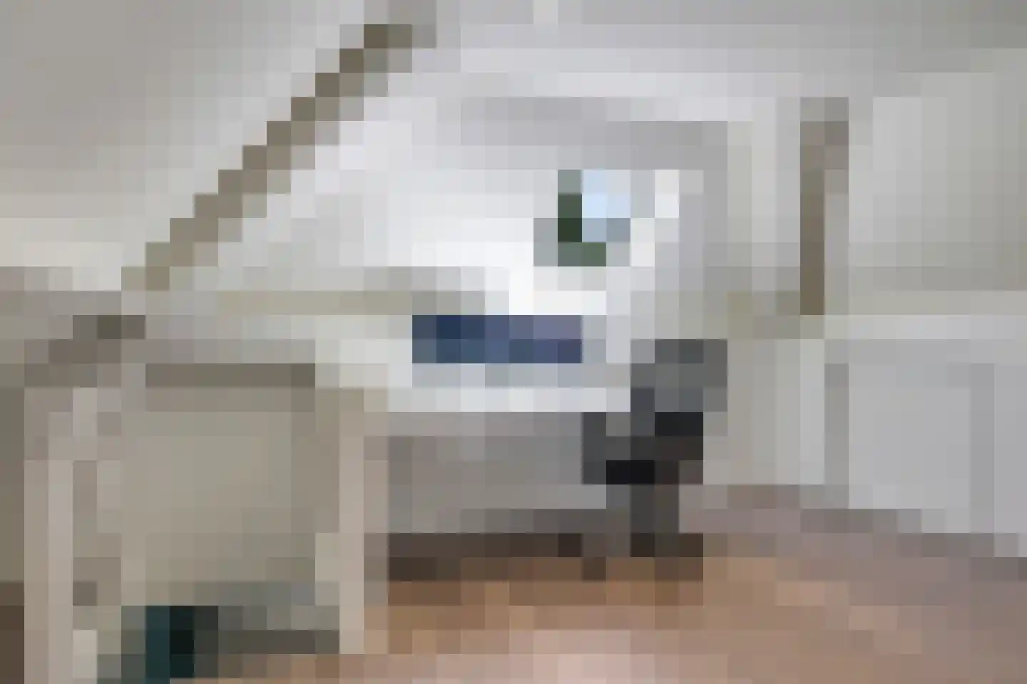 De Meulenberg 5 Doornenburg thumbnail 74