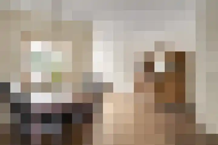 De Meulencamp 17 Meijel thumbnail 17