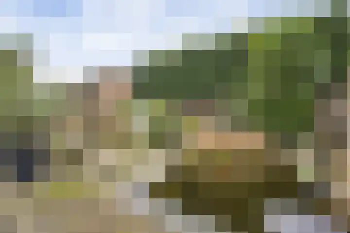 De Meulencamp 17 Meijel thumbnail 27