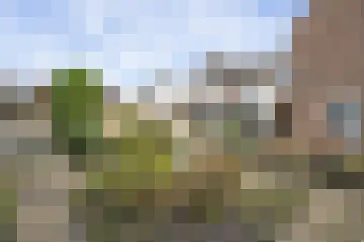De Meulencamp 17 Meijel thumbnail 29