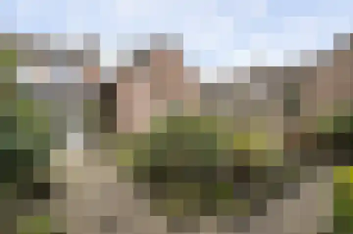 De Meulencamp 17 Meijel thumbnail 30