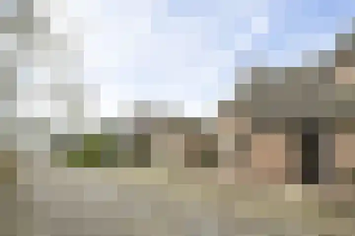 De Meulencamp 17 Meijel thumbnail 4