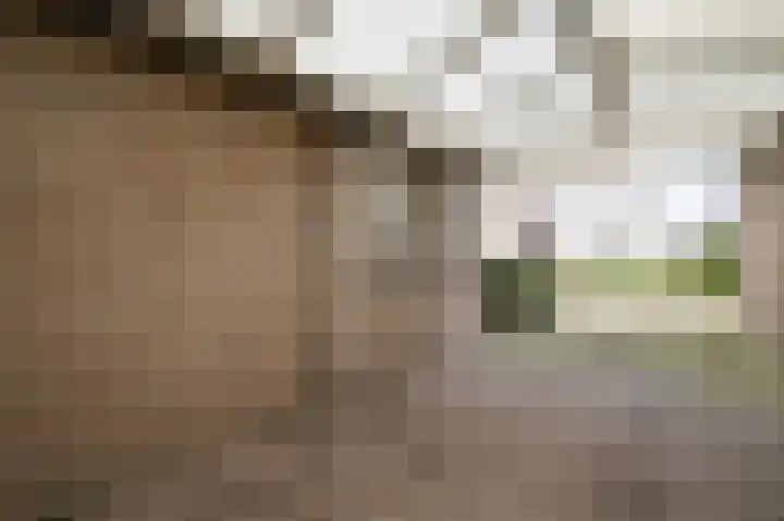 De Meulencamp 17 Meijel thumbnail 5