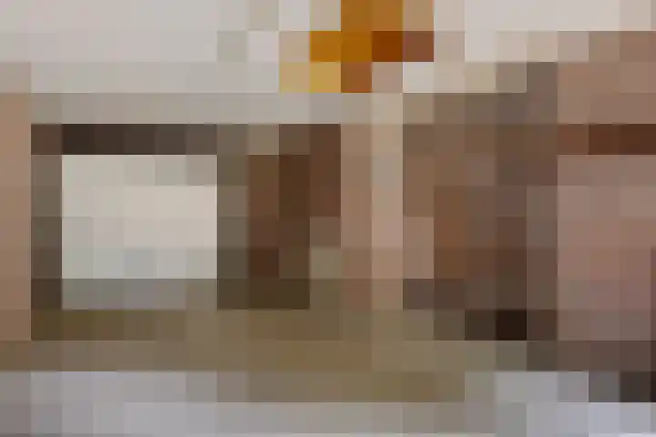 de Meute 40 Creil thumbnail 11