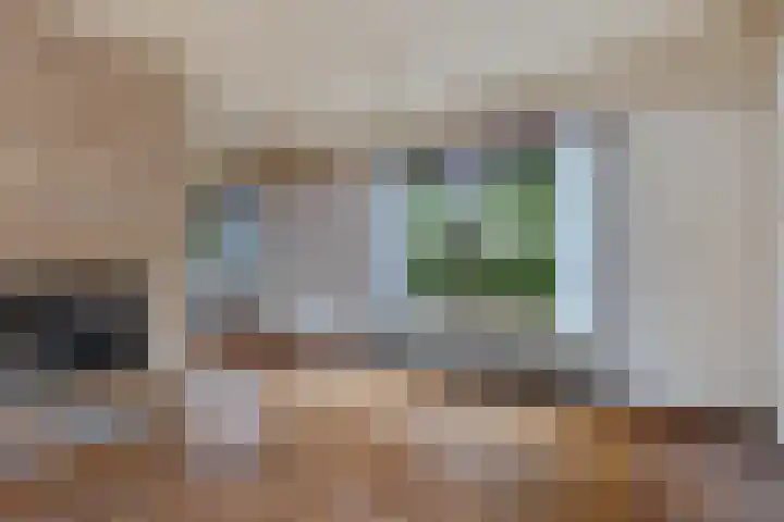 de Meute 40 Creil thumbnail 21