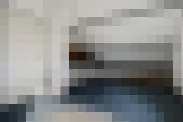 de Meute 40 Creil thumbnail 33