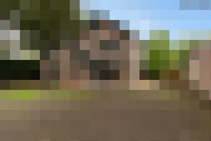 de Meute 40 Creil thumbnail 39