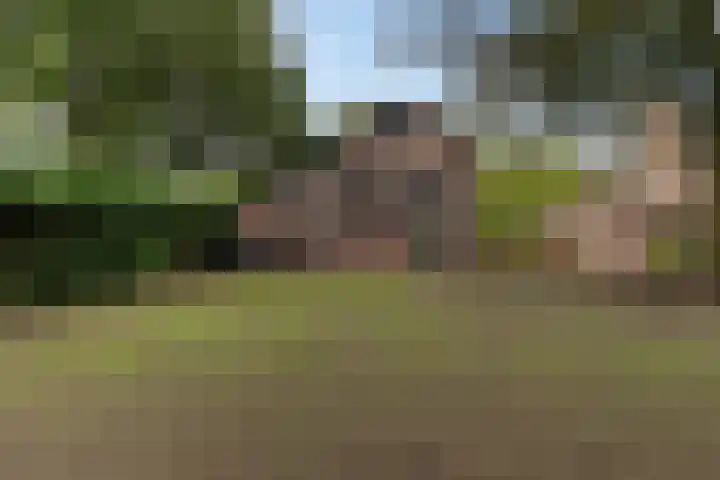 de Meute 40 Creil thumbnail 4