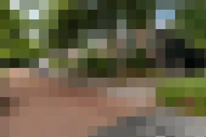 de Meute 40 Creil thumbnail 5