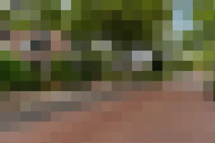 de Meute 40 Creil thumbnail 8