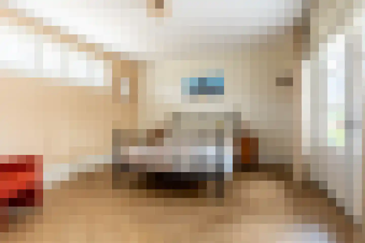 De Meutelaer 1 Stellendam thumbnail 26