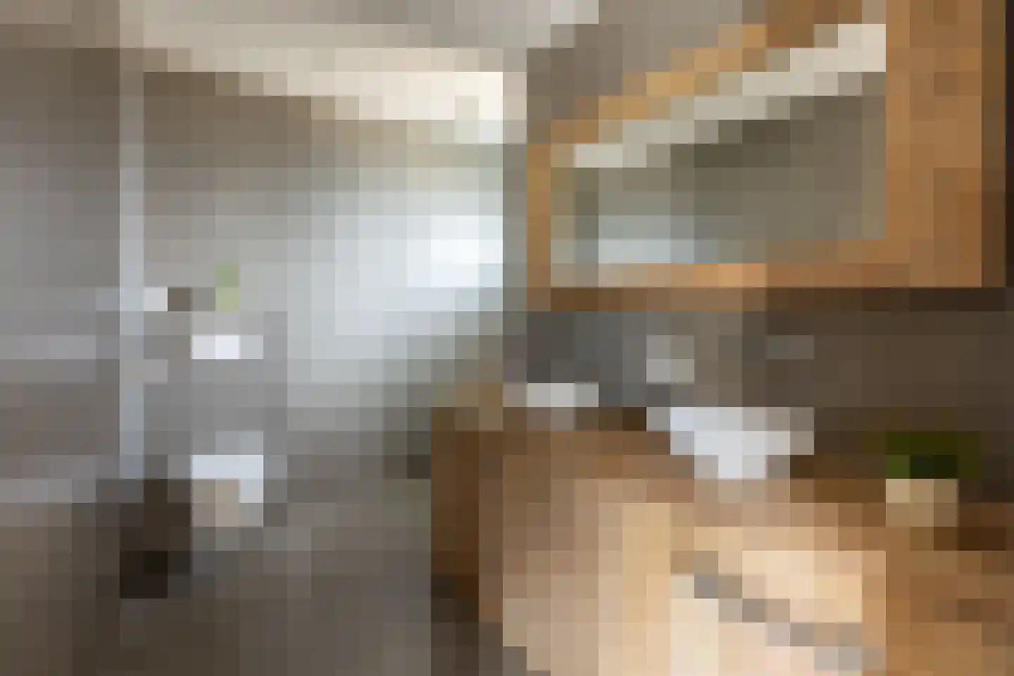 De Meutelaer 1 Stellendam thumbnail 28