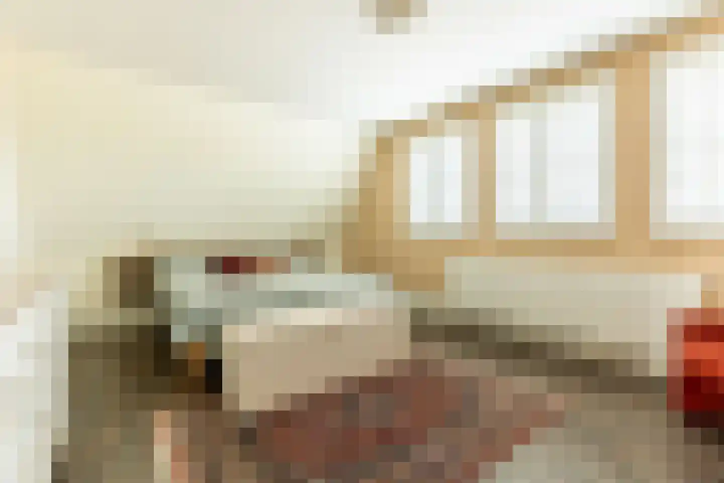 De Meutelaer 1 Stellendam thumbnail 37