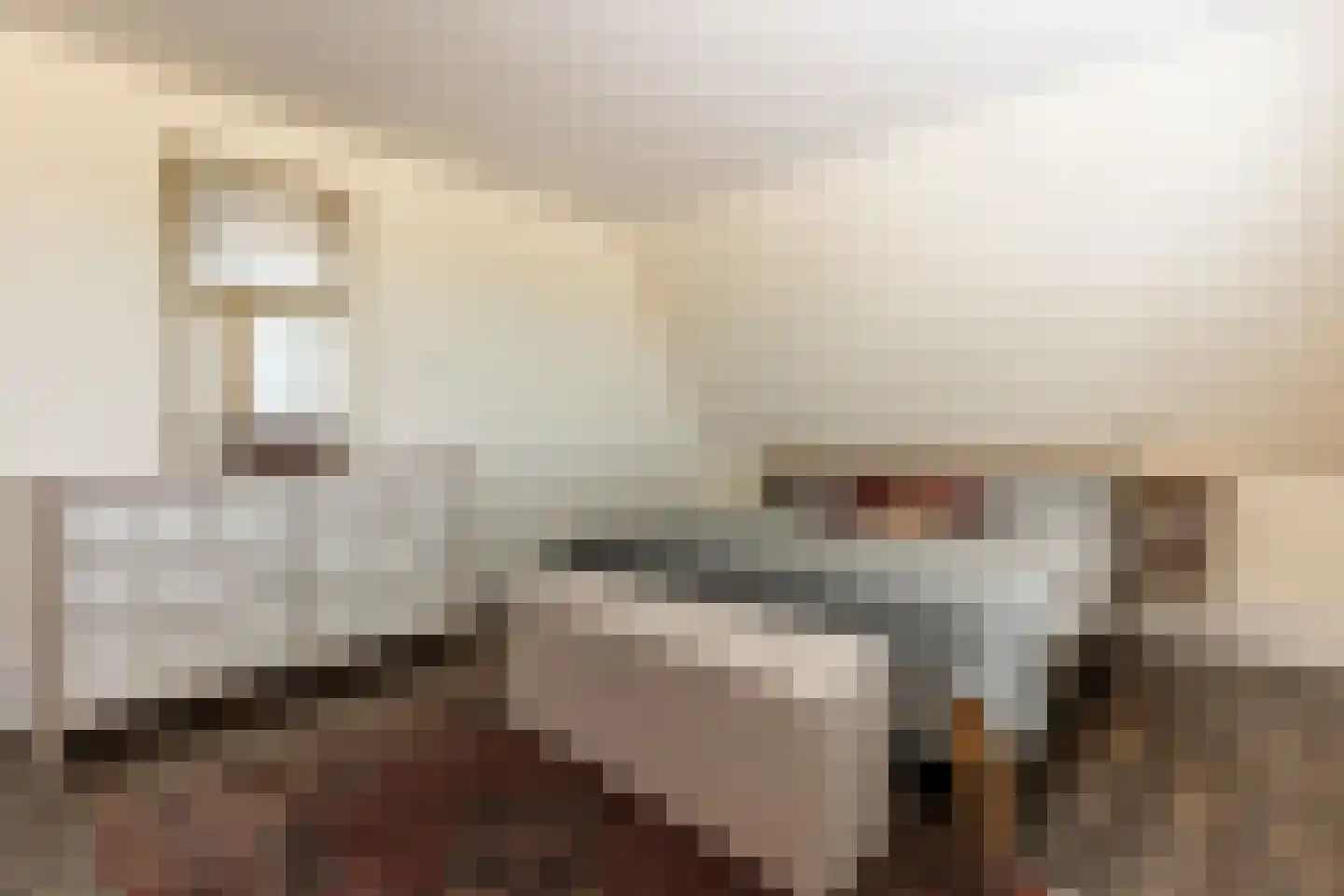 De Meutelaer 1 Stellendam thumbnail 38