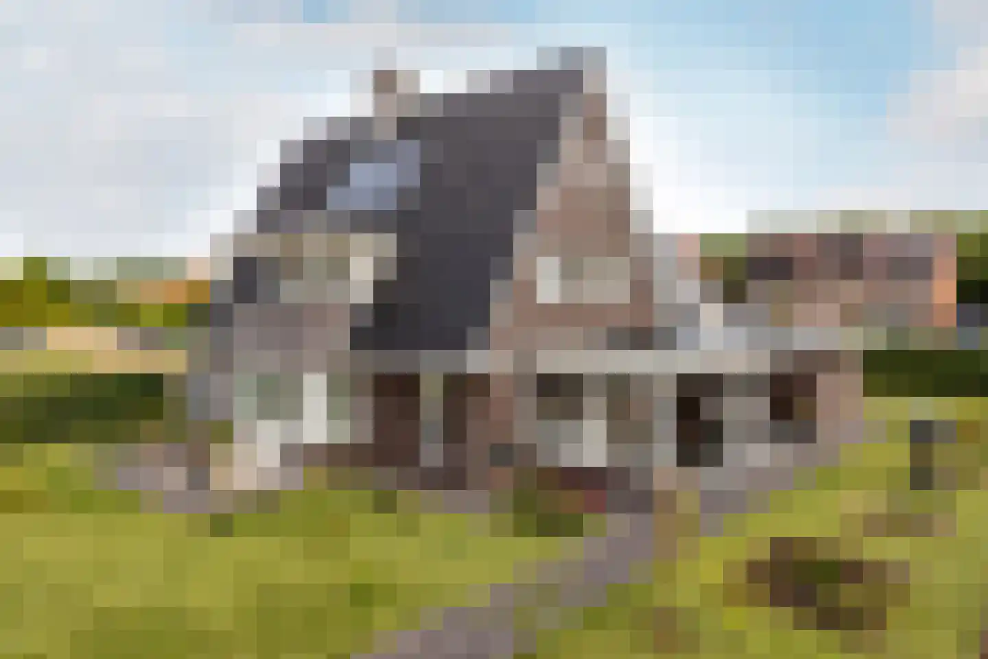De Meutelaer 1 Stellendam thumbnail 4