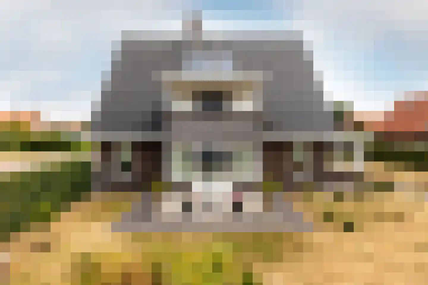 De Meutelaer 1 Stellendam thumbnail 53