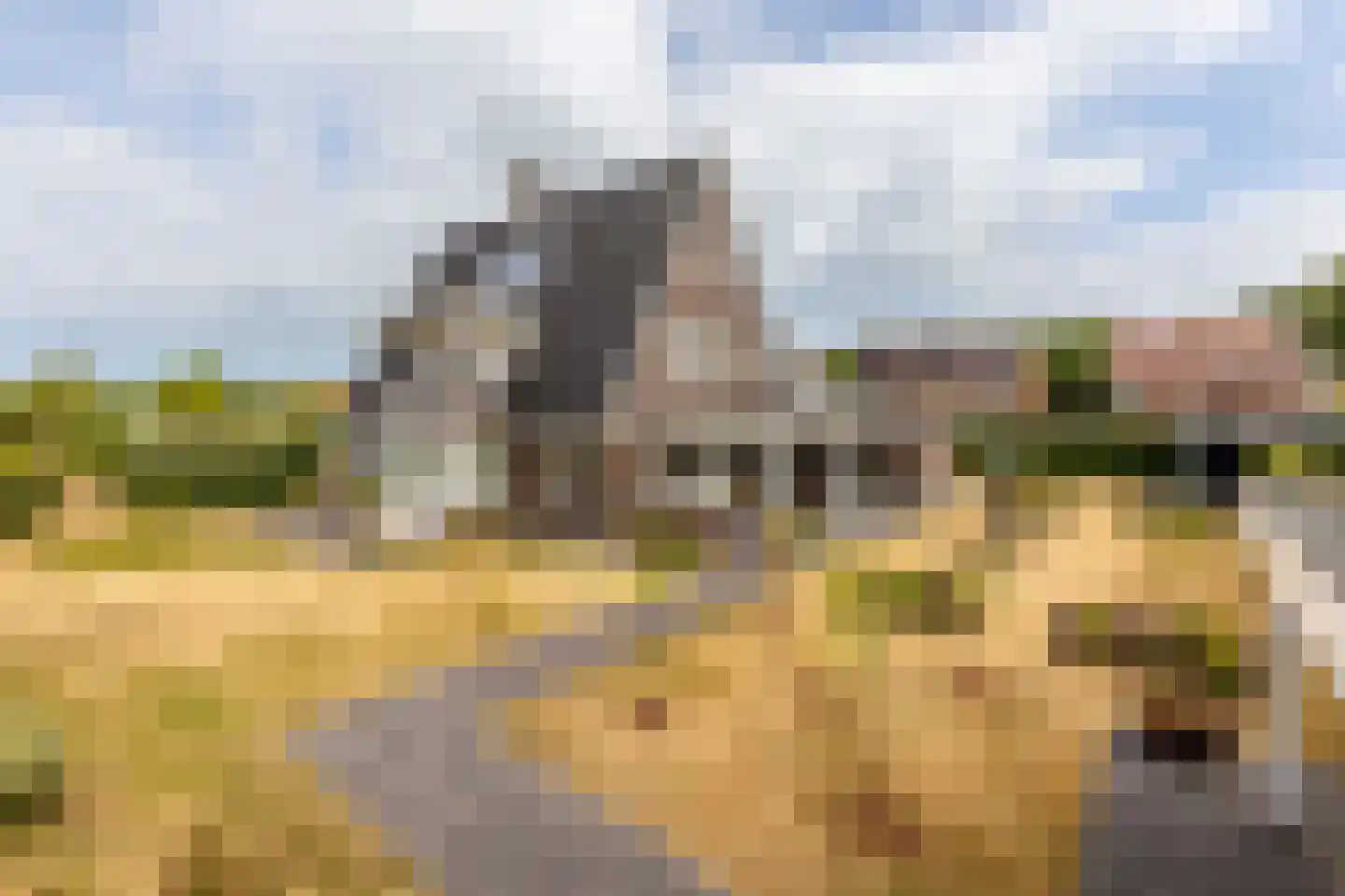 De Meutelaer 1 Stellendam thumbnail 55