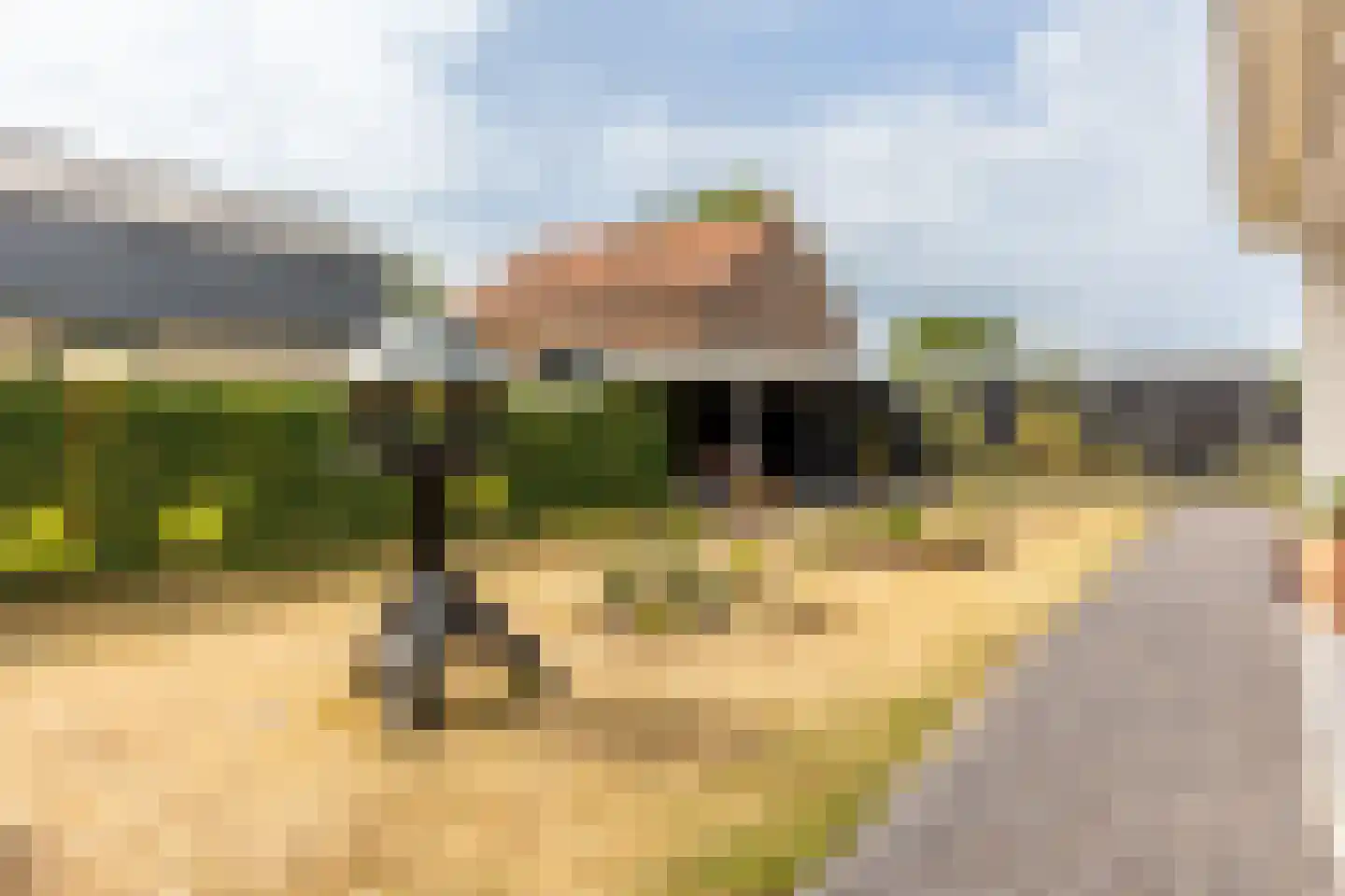 De Meutelaer 1 Stellendam thumbnail 61