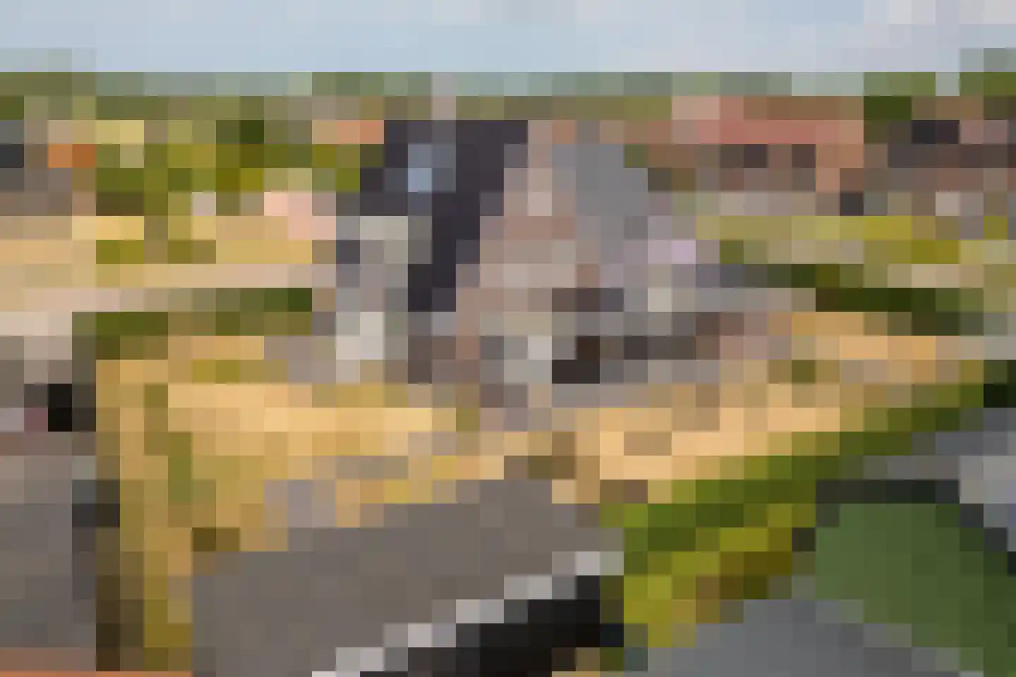 De Meutelaer 1 Stellendam thumbnail 63